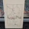 Hartă Șanțuri rusești și turcești, Ținutul de la Gabrovo, Kazanl&acirc;k și Pasul Șipka, Siantiuri rusesci/turcesci, Războiul ruso-turc 1877-1878, 1878, 181