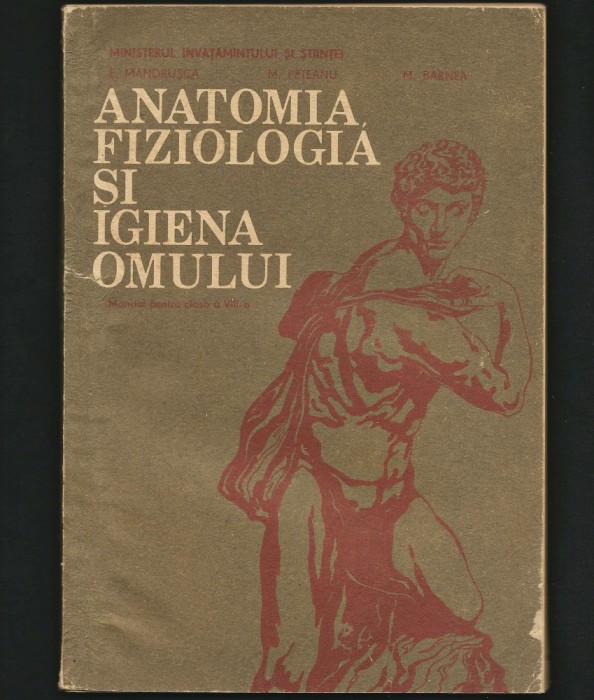 ANATOMIA ȘI FIZIOLOGIA OMULUI - L. M&Acirc;NDRUȘCA, M. BARNEA - MANUAL CLASA A VIII-A