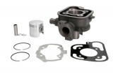 Set motor Peugeot Ludix/Jetforce, 80ccm 47mm, racire apa 2003-