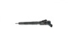 BOSCH 0 445 110 248 Injector