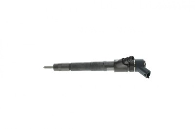 BOSCH 0 445 110 248 Injector foto