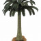 Copac Cycad Animal figurina