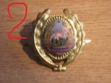 QW14 - Emblema militara / cuc - medie - uscat - comunism - piesa de colectie
