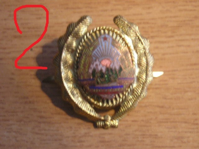 QW14 - Emblema militara / cuc - medie - uscat - comunism - piesa de colectie