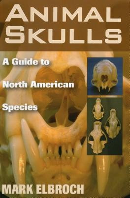 Animal Skulls: A Guide to North American Species foto
