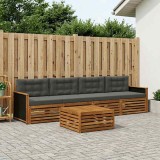 vidaXL Set de canapele de exterior cu pernă 5 pcs Natural și Antracit 3382985