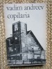 Vadim Andreev - Copilaria