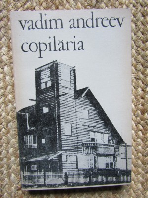 Vadim Andreev - Copilaria foto