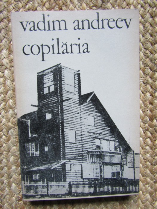 Vadim Andreev - Copilaria