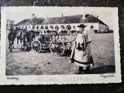 Carte postala Hartibaciu, Hortobagy, Piata centrala, circulata, stare buna foto