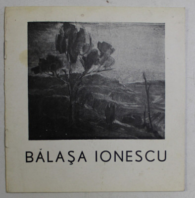 EXPOZITIA BALASA IONEL , 1983 foto