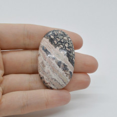 Cabochon jasp leopard 2 43x25x7mm c8