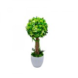 Aranjament floral tip Copacel Pomisor cu licheni naturali stabilizati si plante naturale criogenate, Verde, 55 cm, vaza ceramica