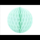 Honeycomb mint 10 cm