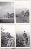 Bnk foto Maramures - Muntii Gutai - anii `60, Alb-Negru, Romania de la 1950, Natura