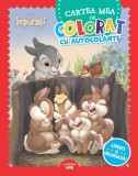 Disney Iepurasi, Cartea mea de colorat cu autocolante, Lipeste si coloreaza&nbsp;