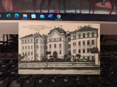 Sfautul Sf&amp;acirc;ntul Gheorghe, Școala Normală de fete Regina Maria, circa 1925, 205 foto