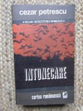 INTUNECARE-CEZAR PETRESCU