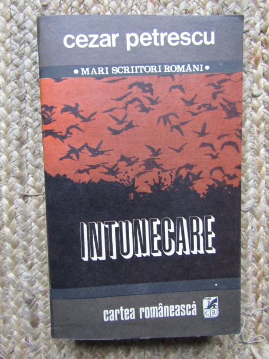 INTUNECARE-CEZAR PETRESCU