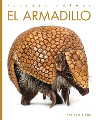 El Armadillo foto