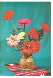 @carte postala(ilustrata) -FELICITARE-Gerbera