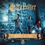 Harry Potter: Friends &amp; Foes: A Movie Scrapbook