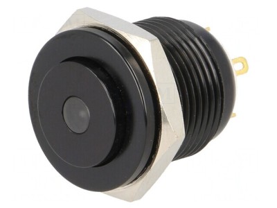 Comutator Anti-Vandalism 2A 36V 24V IP65 foto