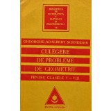 Culegere de probleme de geometrie pentru clasele V-VIII - 1993 - Gheorghe Adalbert Schneider (AI73)