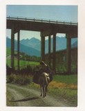 FA119 -Carte Postala- ELVETIA - Horse Ride, necirculata