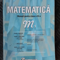 MATEMATICA CLASA A XI A M1 FILIERA TEORETICA ,TEHNOLOGICA ,VOCATIONALA