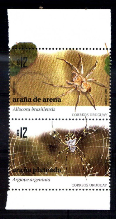 URUGUAY 2009 INSECTE PAIANJENI