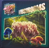 Ciuperci - Sierra Leone 2017 - Coliță Poștală Ramaria formosa Mushrooms (Ștampilată / CTO) CP1_II