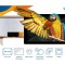 Monitor TFT 10.1&quot; 1280x800 RGB