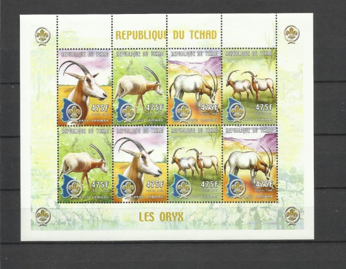 CHAD 2000 FAUNA ANIMALE SALBATICE ANTILOPE ORYX