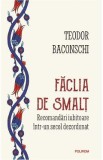 Faclia de smalt. Recomandari iubitoare intr-un secol dezordonat - Teodor Baconschi