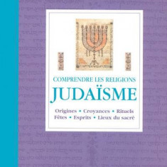 COMPRENDRE LES RELIGIONS. JUDAISME - CARL S. EHRLICH (origines, croyances, rituels, textes sacrés, lieux du sacréCARTE IN LIMBA FRANCEZA)