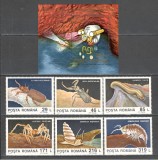 Romania.1993 Fauna cavernicola ZR.913, Nestampilat