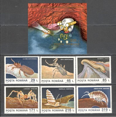 Romania.1993 Fauna cavernicola ZR.913 foto