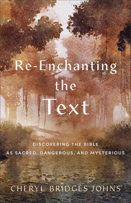 Re-Enchanting the Text: Discovering the Bible as Sacred, Dangerous, and Mysterious foto
