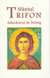 Aducatorul de belsug - Ortodoxia