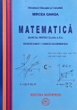 Matematica. Manual pentru clasa a X-a Trunchi comun + Curriculum diferentiat - Mircea Ganga (cateva insemnari)