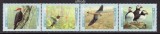 CANADA 1996, Fauna, Pasari, serie neuzata, MNH