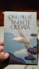 Tinerete ciudata &amp;amp;#8211; Dinu Pillat foto