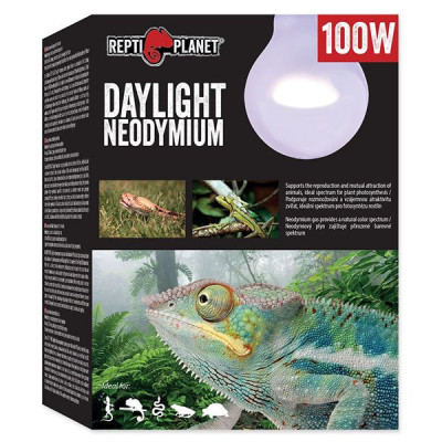 Bec REPTI PLANET Daylight Neodymium 100W foto