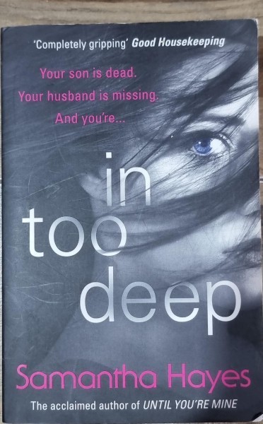 In too deep - Samantha Hayes