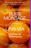 Bliss Montage: Stories