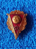 Insigna (veche) fotbal - Federatia de fotbal din URSS (RUSIA)