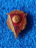 Insigna (veche) fotbal - Federatia de fotbal din URSS (RUSIA)