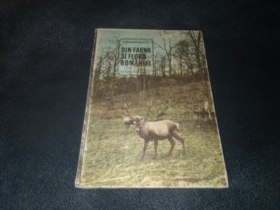 ION SIMIONESCU - DIN FAUNA SI FLORA ROMANIEI foto
