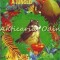 A Doua Carte A Junglei - Rudyard Kipling